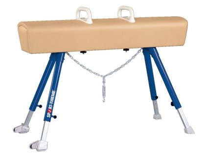 Gymnastika